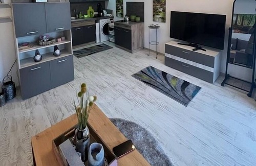 Sfantu Gheorghe Apartamento | Ferienwohnung/app. für 2 Gäste mit 26m² in Sfântu Gheorghe