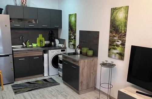 Sfantu Gheorghe Apartamento | Ferienwohnung/app. für 2 Gäste mit 26m² in Sfântu Gheorghe