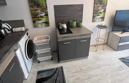 Sfantu Gheorghe Apartamento | Ferienwohnung/app. für 2 Gäste mit 26m² in Sfântu Gheorghe