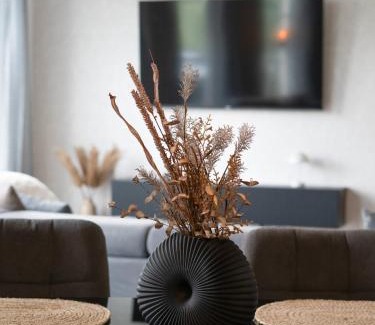 Pouch Apartamento | Ferienwohnung Agora Penthouse am Goitzschesee