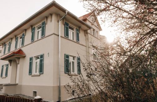 Bad Buchau Apartamento | Ferienwohnung am Federsee