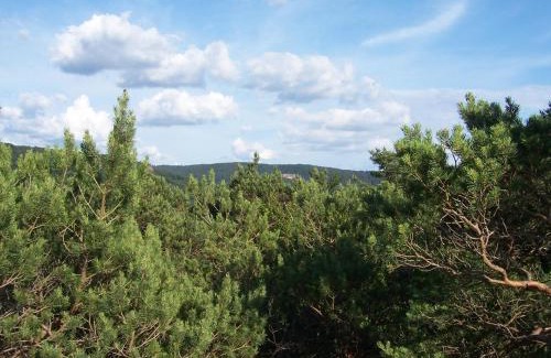 Schonau Apartamento | Ferienwohnung am Pfaffenfels
