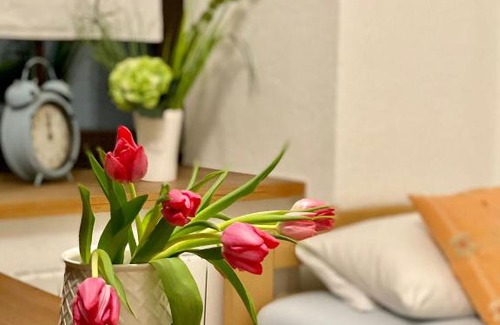 Meissen Apartamento | Ferienwohnung am Weinberg