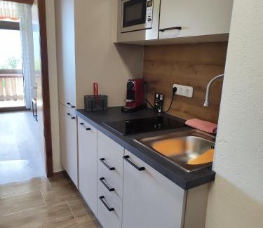 Aigen im Ennstal Apartamento | Ferienwohnung - Apartment Pichlarn Holiday Grimmingblick