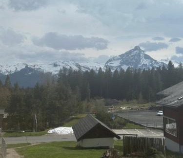 Mitloedi Apartamento | Ferienwohnung Arvenbüel Bergtraum über Amden