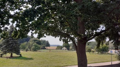 Grabow-Below Apartamento | Ferienwohnung auf dem Land Mecklenburgische Seenplatte Müritz, ländliche Region