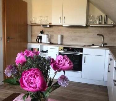 Gappenach Apartamento | Ferienwohnung auf dem Maifeld