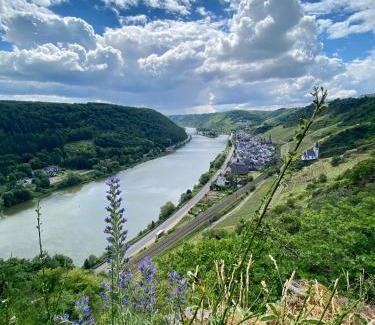 Dieblich Apartamento | Ferienwohnung auf der Moselhöhe - Nähe Koblenz und Cochem
