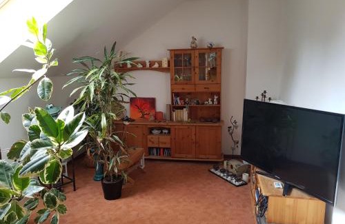 Werder Apartamento | Ferienwohnung Blütenstadt Werder-Havel