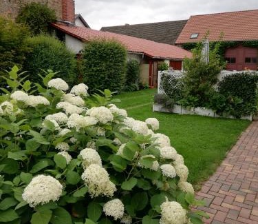Markische Heide Apartamento | Ferienwohnung Blick zu den Sternen