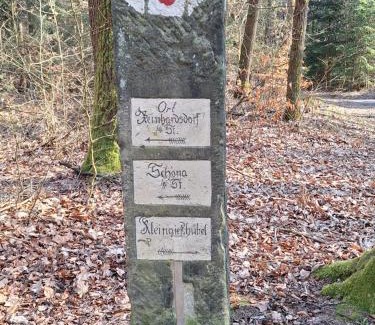 Reinhardtsdorf-Schoena Apartamento | Ferienwohnung Blick zum Zirkelstein