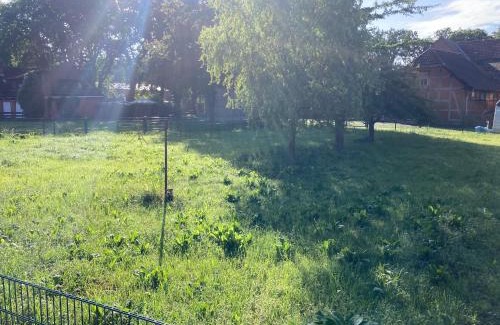 Klein Hehlen Apartamento | Ferienwohnung Bungenhof Alpacas