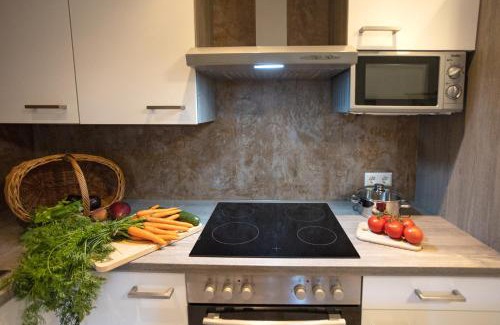 Frickenhausen Apartamento | Ferienwohnung Burgblick im Neuffener Tal mit Sauna und Wallbox