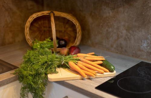 Frickenhausen Apartamento | Ferienwohnung Burgblick im Neuffener Tal mit Sauna und Wallbox