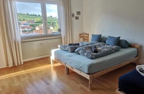 Leinsweiler Apartamento | Ferienwohnung "Burgpanorama" in der Südpfalz