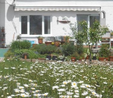 Spiegelau Apartamento | Ferienwohnung Casa MIA