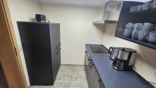Bad Klosterlausnitz Apartamento | Ferienwohnung am Schwanenteich