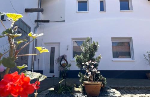 Oranienbaum Apartamento | Ferienwohnung am Schloßgarten