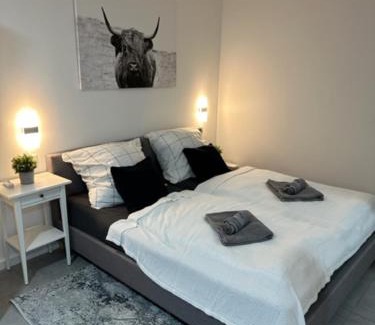 Magdeburg Apartamento | Ferienwohnung Domspatz mit Klimaanlage