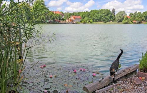 Feldberger Seenlandschaft Apartamento | Ferienwohnung Feldberger