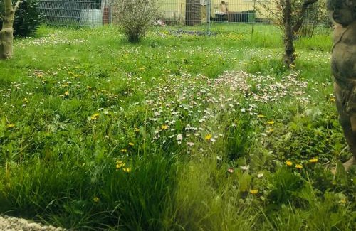 Freckenfeld Apartamento | Ferienwohnung Feldmann