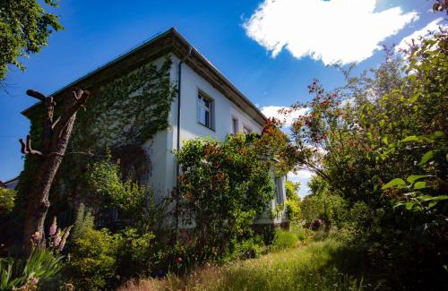 Bad Belzig Apartamento | Ferienwohnung Fläming