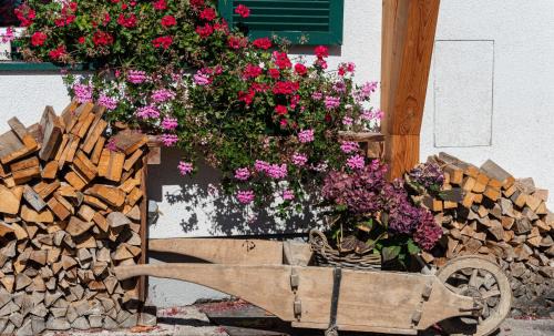 Altaussee Apartamento | Ferienwohnung Flora Altaussee - Your Austrian Home