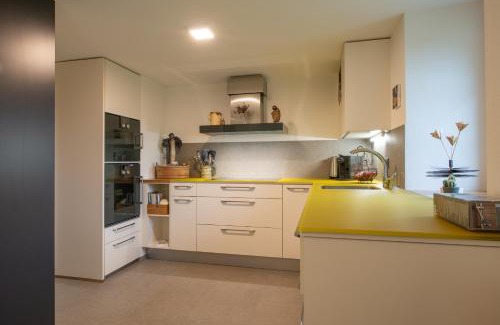 Obergesteln Apartamento | Ferienwohnung Gabschi