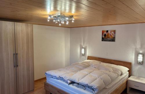 Ernen Apartamento | Ferienwohnung Haus Mühlebach