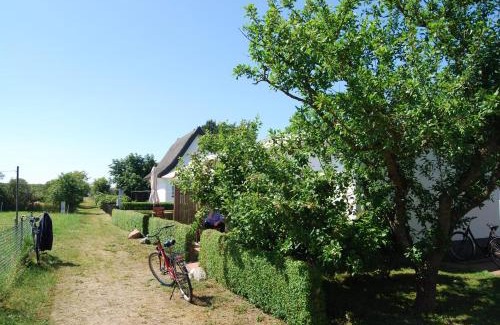 Vitte Apartamento | Ferienwohnung Hiddensee in Vitte