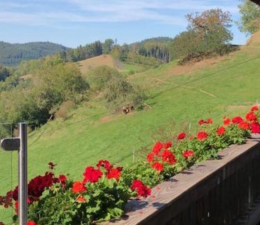 Muehlenbach Apartamento | Ferienwohnung HOF