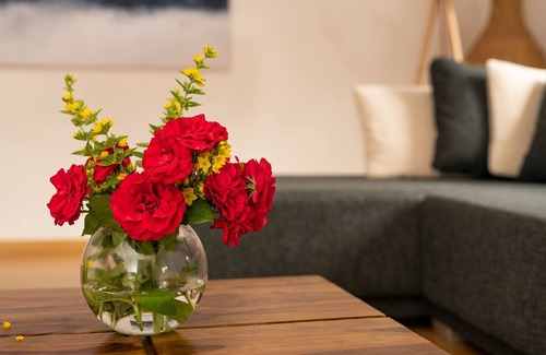 Frickingen Apartamento | Ferienwohnung im Amselring, 73qm, Terrasse, 1 Schlafzimmer, Max. 2 Personen
