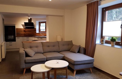 Kaifenheim Apartamento | Ferienwohnung im Brohlbachtal - 2-bett-ferienwohnung Dusche/wc