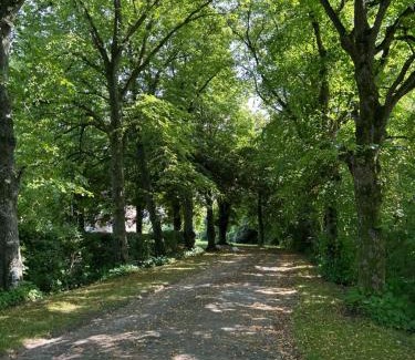 Pewsum Apartamento | Ferienwohnung im idyllischen Gulfhof