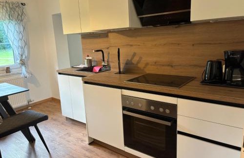 Hintersee Apartamento | Ferienwohnung Langfeld