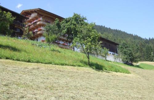 Ried im Zillertal Apartamento | Ferienwohnung Lehenhof