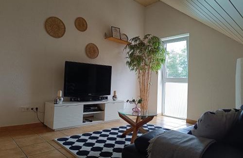Kostheim Apartamento | Ferienwohnung Mainzelmännchen