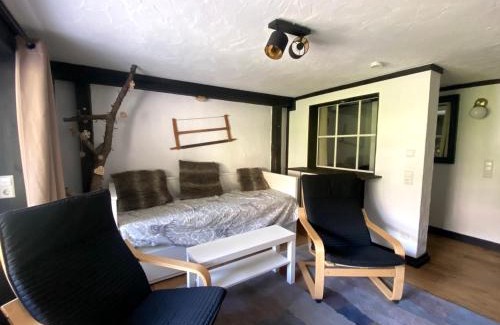 Todtnauberg Apartamento | Ferienwohnung Michel 02 im Haus Schwarzwaldmarille- Todtnauberg, Feldberg