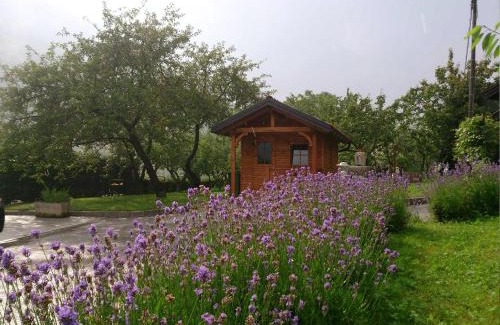 Tolmin Apartamento | Ferienwohnung Mit Eigener Sonnenterrasse