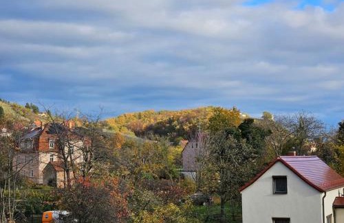 Zitzschewig Apartamento | Ferienwohnung mit Weinbergblick