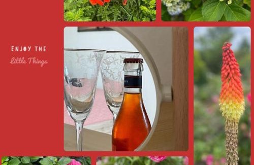 Eystrup Apartamento | Ferienwohnung mit WINTERGARTEN in Bahnhofsnähe