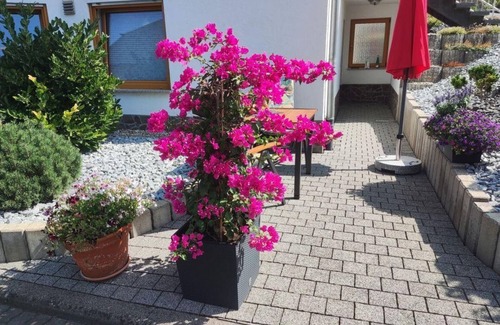Alken Apartamento | Ferienwohnung Moselzeit - Ferienwohnung mit Freisitz