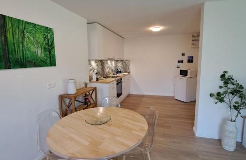 Saint Georgen Ot Brigach Apartamento | Ferienwohnung Muota