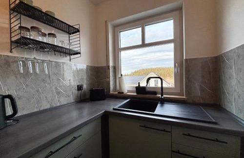Oberhof Apartamento | Ferienwohnung Naturkraft mit Tiefgaragenstellplatz und Balkon