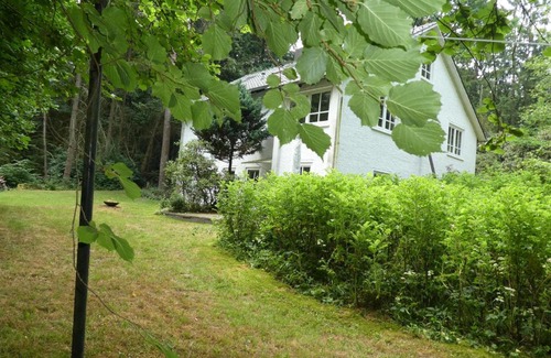 Lutterloh Apartamento | Ferienwohnung Niemann in Lutterloh