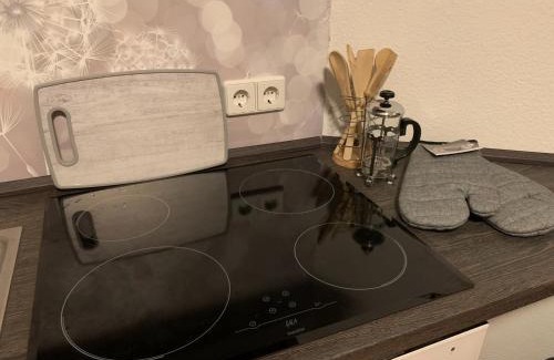 Rotha Apartamento | Ferienwohnung Oelzschau - Urlaub im Leipziger Neuseenland