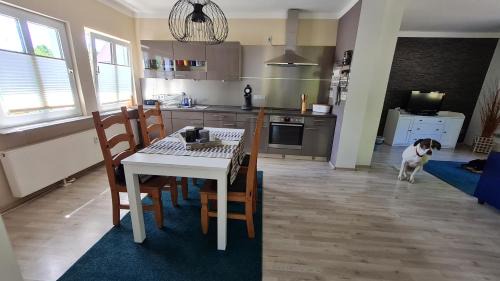 Halbs Apartamento | Ferienwohnung Ollywood, Natur pur im Westerwald, 2 bis 4 Personen