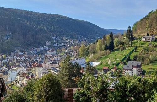 Bad Wildbad Apartamento | Ferienwohnung Panoramablick