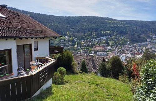 Bad Wildbad Apartamento | Ferienwohnung Panoramablick