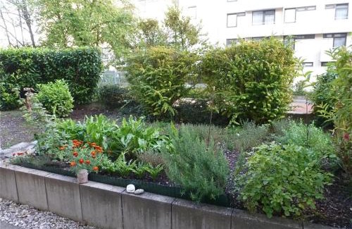 Pfersee-Nord Apartamento | Ferienwohnung Pfersee mit Terasse